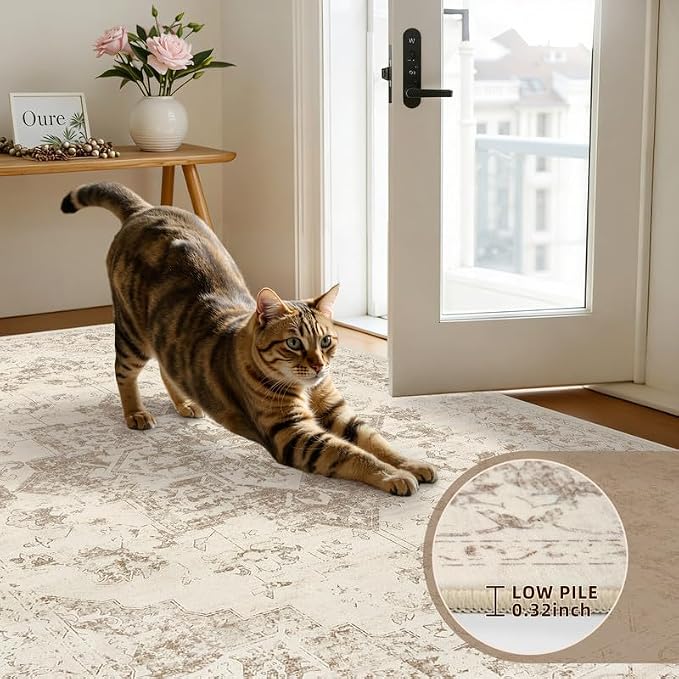 Round Area Rug Living Room: 8ft Washable Carpet Beige/Ivory | Vintage Boho - Image 6