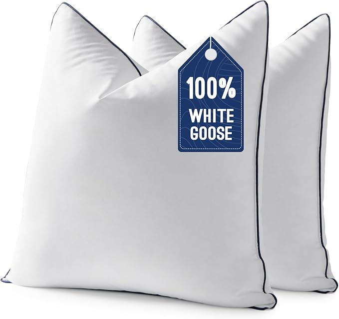 MIULEE Goose Feather Down 28x28 Euro Pillow Insert Set of 2 by MIULEE