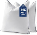 MIULEE Goose Feather Down 28x28 Euro Pillow Insert Set of 2 by MIULEE