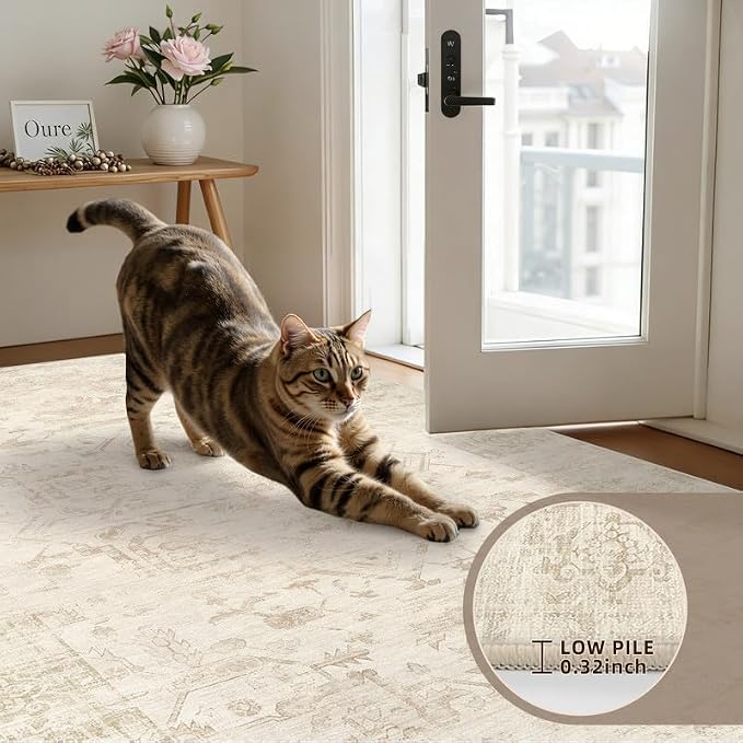 Round Area Rug Living Room: 6ft Washable Carpet Beige/Brown | Vintage Boho - Image 6