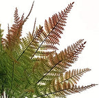 CATTREE Artificial Fern Shrubs, Plastic Bushes Grass Leaves Fake Plants Wedding Indoor Outdoor Home Garden Verandah Kitchen Office Table Centerpieces Arrangements DIY Christmas Decoration 4 pcs - Image 4