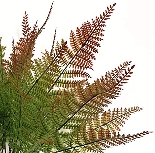 CATTREE Artificial Fern Shrubs, Plastic Bushes Grass Leaves Fake Plants Wedding Indoor Outdoor Home Garden Verandah Kitchen Office Table Centerpieces Arrangements DIY Christmas Decoration 4 pcs - Image 4