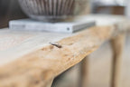 Log Sofa Table Live Edge Wood Pine and Cedar — Natural Furniture — Sofa Tables - Image 4