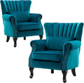 Velvet Accent Chairs Set of 2 by DMFurniture