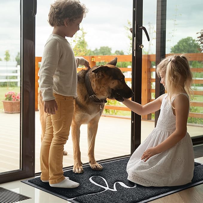 Door Mat Welcome Mat Floor Mat for Entryway, High Traffic Areas | Low Profile - Image 6