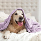 BEDELITE Fleece Blanket Soft Plush King Size Bed Blanket Lilac 108"x90" | Ultra - Image 9