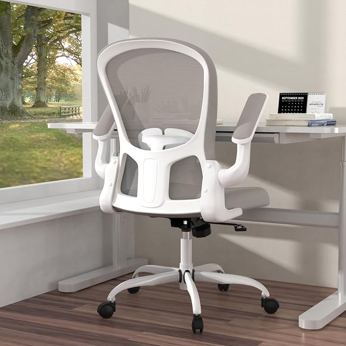 Ergonomic Office Chair, Comfort Swivel Home Office Task Chair, Breathable Mesh by Silybon