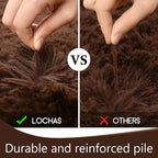 LOCHAS 5x8 Area Rugs Fluffy Living Room Carpets - Image 5