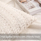 Aegero Pack of 2 Corduroy Decorative Throw Pillow Covers 20x20 Inch - Image 2