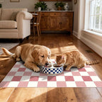 Front Door Mat Outside Entrance - Image 6