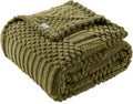 60x80 Inch Green Twin Blanket by LUSSENAHOME