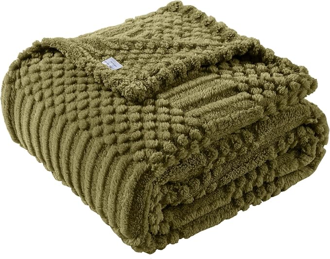 60x80 Inch Green Twin Blanket by LUSSENAHOME