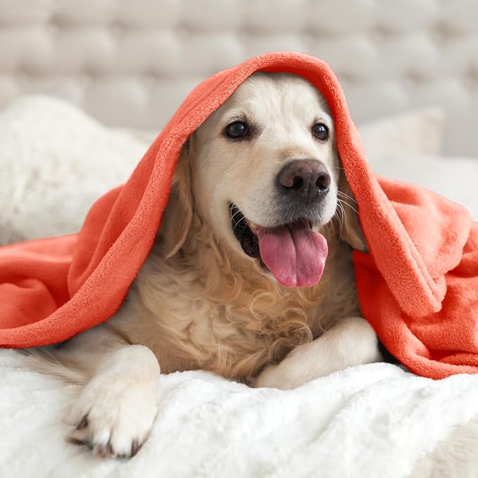 BEDELITE Fleece Blanket Soft Plush Twin Size Blanket Coral Red 60"x80" | Ultra - Image 5
