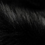 SERISSA 4x6 Fluffy Black Faux Fur Area Rug - Image 5
