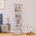 LFT HUIMEI2Y Glass Display Cabinet by LFTHUIMEI2Y