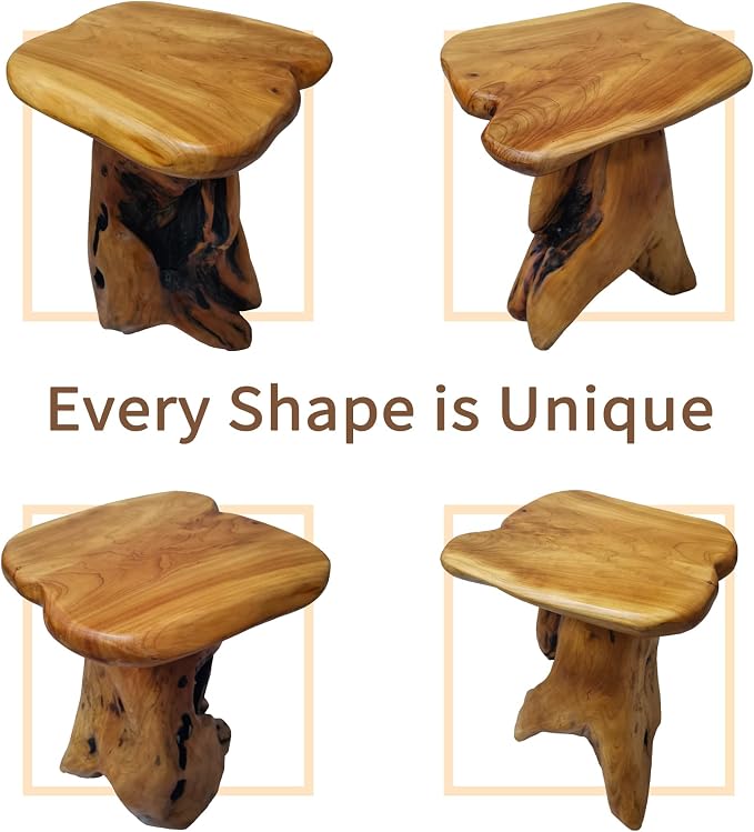 Brefhome 18.9" Tall Cedar Tree Stump Stool, Natural Wood Side Table, - Image 4