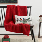 RABUSOFA Christmas Outdoor Pillow Covers Waterproof 12x20 Inch Birds Christmas - Image 2
