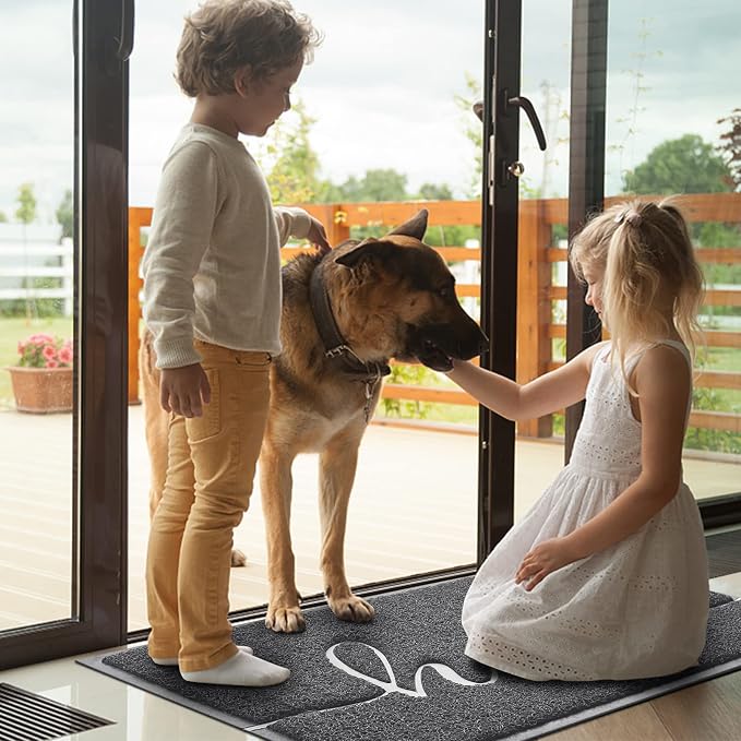Door Mat Welcome Mat Floor Mat for Entryway, High Traffic Areas | Low Profile - Image 2