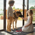 Door Mat Welcome Mat Floor Mat for Entryway, High Traffic Areas | Low Profile - Image 2