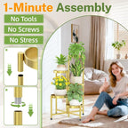 iDavosic.ly Plant Stand Indoor Outdoor, 5 Tier Corner Metal Flower Display - Image 2