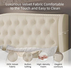 BRELTAM Upholstered Queen Size Bed Frame Velvet Beige Tufted Platform Bed Frame - Image 6