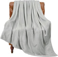 BEDELITE Fleece Blanket Soft Plush Twin Size Blanket Light Grey 60"x80" | Ultra by BEDELITE