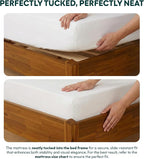 Bme Dinkee 15 Inch Signature Bed Frame Without Headboard - Image 7