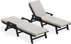 SERWALL Outdoor Chaise Lounge Set of 2 by SERWALL
