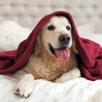 BEDELITE Fleece Blanket Soft Plush Throw - Image 8