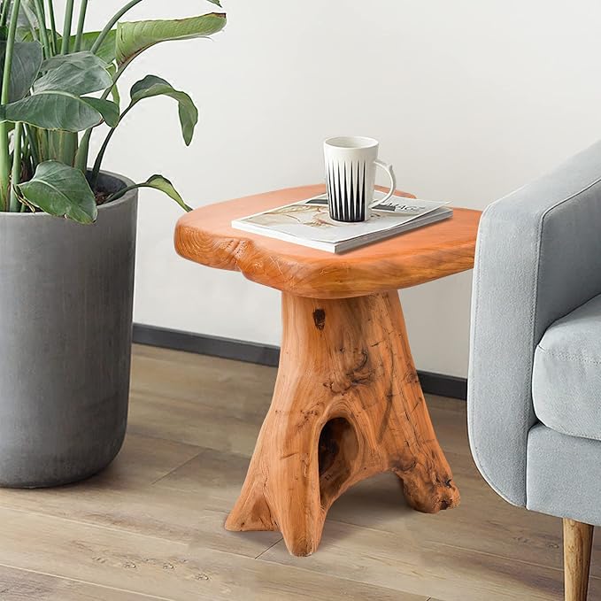 Small Side Table, Unique Design Live Edge Wood Stool, Freeform Natural Plant by HOEGMST