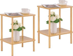 Apicizon 2 Tier End Table Set of 2, Small Side Table by APICIZON