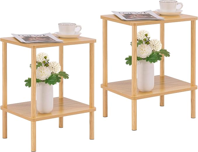Apicizon 2 Tier End Table Set of 2, Small Side Table by APICIZON