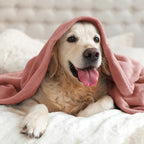 BEDELITE Fleece Blanket Soft Plush Throw - Image 8