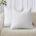 MIULEE 22x22 Pillow Inserts Set of 2, Throw Pillows by MIULEE