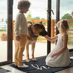Door Mat Welcome Mat Floor Mat for Entryway, High Traffic Areas | Low Profile - Image 2