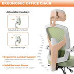 Sweetcrispy Office Computer Desk Chair Set of 2, Ergonomic High-Back Mesh - Image 5