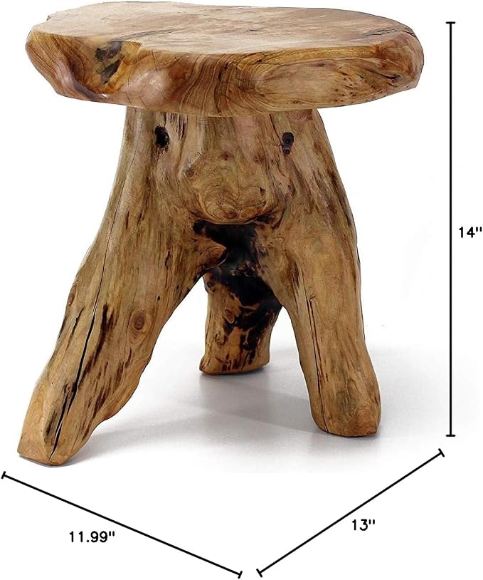 WELLAND Natural Cedar Stump Stool, Live Edge Side Table, Plant Stand, Small - Image 3