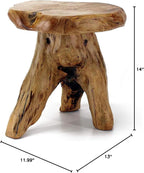 WELLAND Natural Cedar Stump Stool, Live Edge Side Table, Plant Stand, Small - Image 3