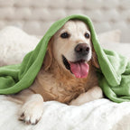 BEDELITE Fleece Blanket Soft Plush Queen Bed Blanket Grass Green 90"x90" | - Image 9