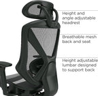 Staples Dexley Ergonomic Task Chair, Lumbar Support, Adjustable Height - Image 3
