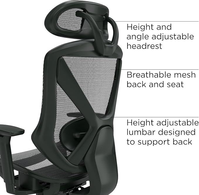 Staples Dexley Ergonomic Task Chair, Lumbar Support, Adjustable Height - Image 3