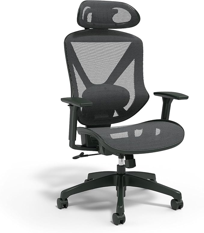 Staples Dexley Ergonomic Task Chair, Lumbar Support, Adjustable Height by Staples