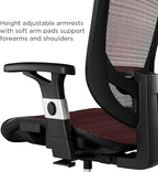Union & Scale Ergonomic Task Chair - Image 4