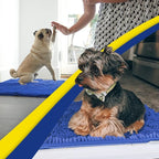 Muddy Mat® | Super Water Absorbent Door Mat Indoor, Microfiber Quick Dry - Image 5