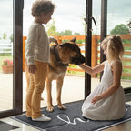 Door Mat Welcome Mat Floor Mat for Entryway, High Traffic Areas | Low Profile - Image 2