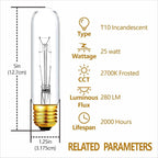 25 Watt T10 Clear Tubular Incandescent Light Bulb, T10 Bulb, Vintage Style - Image 3