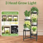 iDavosic.ly Plant Stand Indoor - Image 5