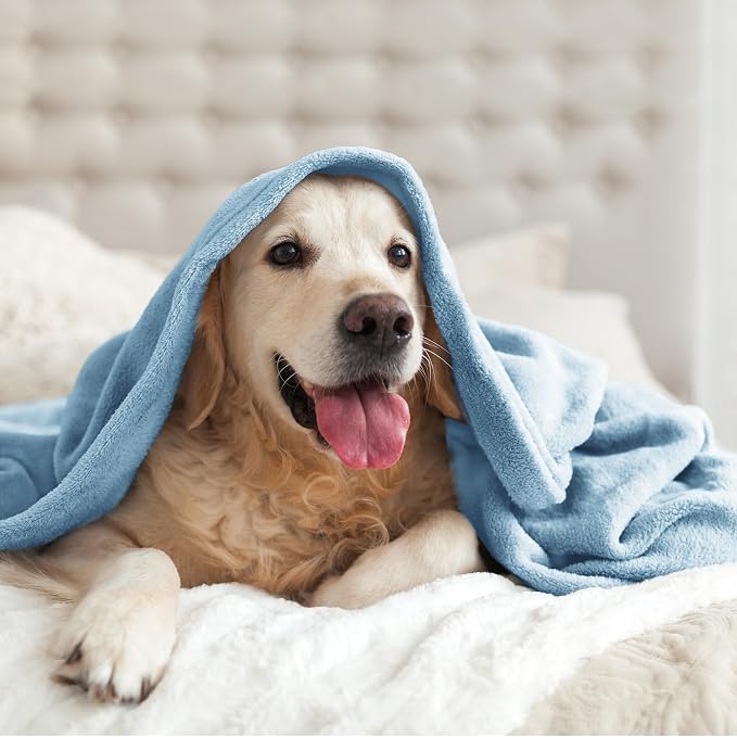 BEDELITE Fleece Blanket Soft Queen Size Bed Blanket Washed Blue 90"x90" | Ultra - Image 9