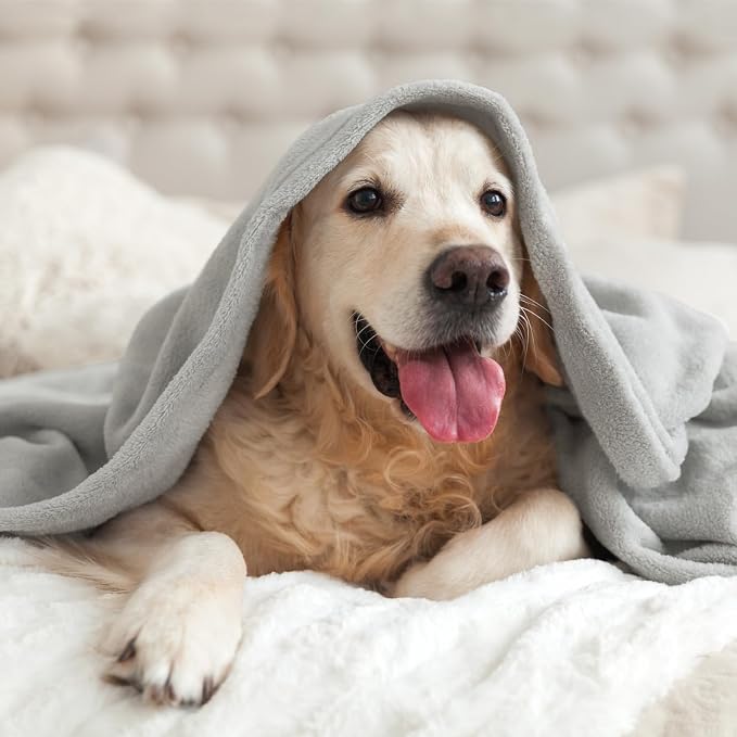 BEDELITE Fleece Blanket Soft Plush Throw - Image 8