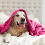 BEDELITE Fleece Blanket Soft Plush Twin Size Blanket Hot Pink 60"x80" | Ultra - Image 8